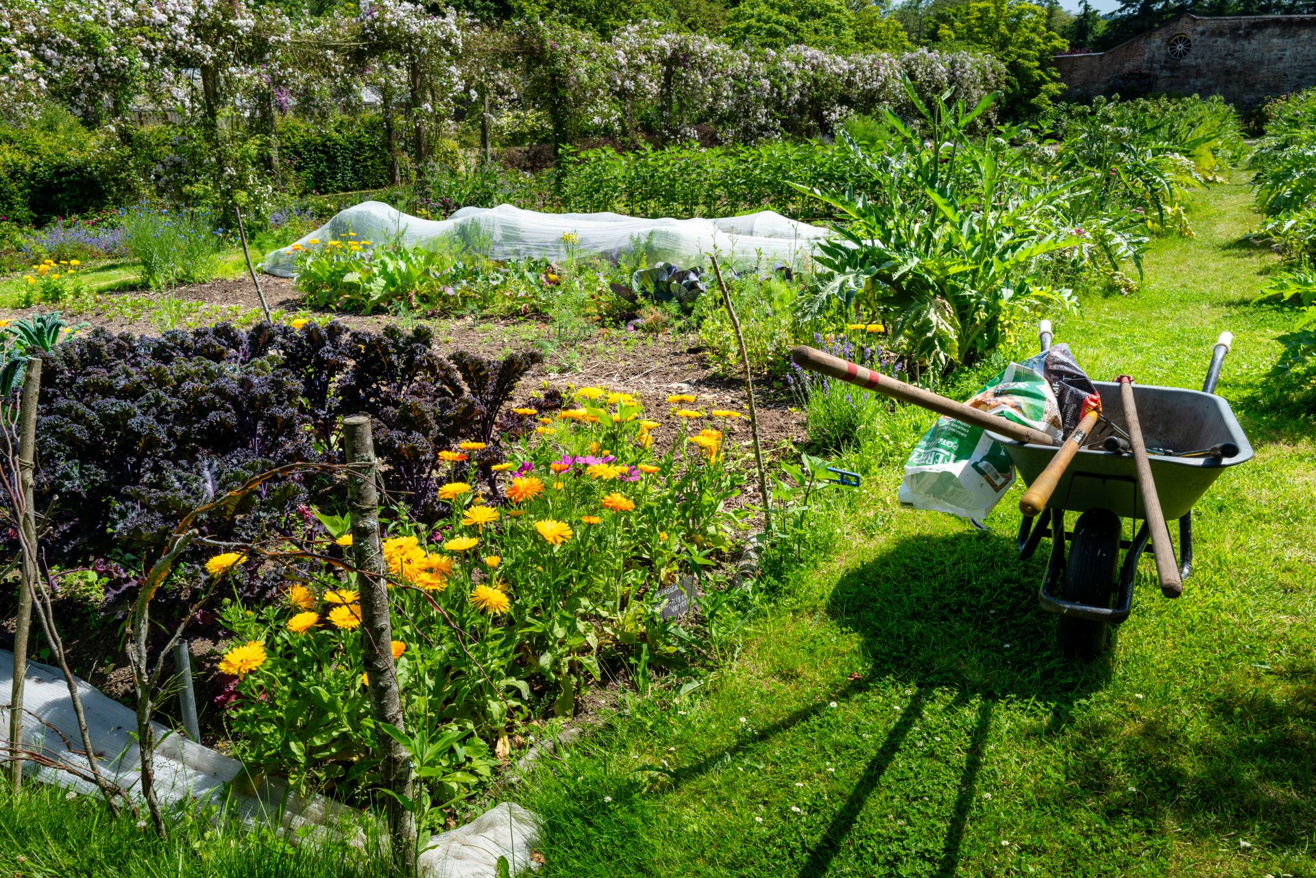 Jardin potager avec fleurs et legumes